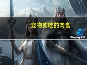 宠物狗吃的肉食