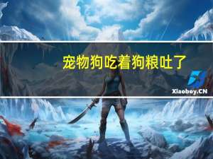 宠物狗吃着狗粮吐了