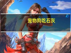 宠物狗吃石灰
