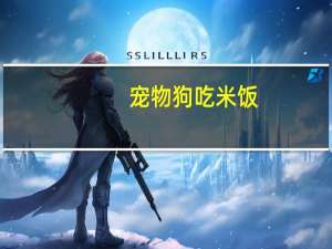 宠物狗吃米饭