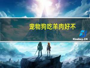 宠物狗吃羊肉好不