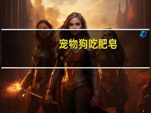 宠物狗吃肥皂