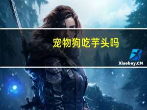 宠物狗吃芋头吗