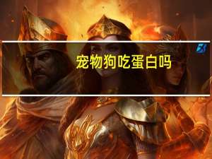 宠物狗吃蛋白吗