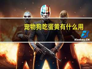 宠物狗吃蛋黄有什么用
