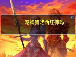 宠物狗吃西红柿吗