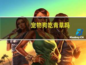 宠物狗吃青草吗