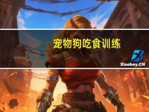 宠物狗吃食训练