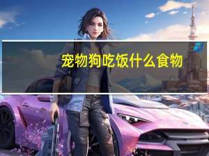 宠物狗吃饭什么食物