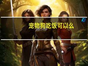 宠物狗吃饭可以么