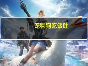 宠物狗吃饭吐