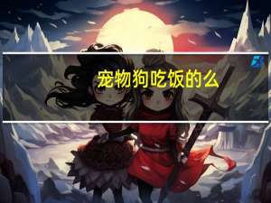 宠物狗吃饭的么
