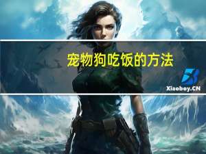 宠物狗吃饭的方法