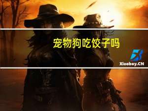 宠物狗吃饺子吗