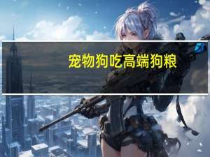 宠物狗吃高端狗粮