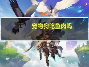 宠物狗吃鱼肉吗