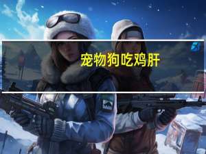 宠物狗吃鸡肝