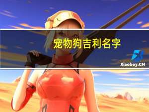 宠物狗吉利名字
