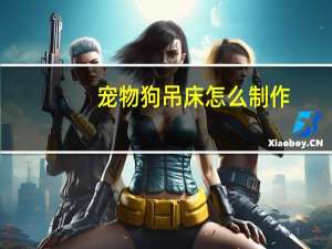 宠物狗吊床怎么制作