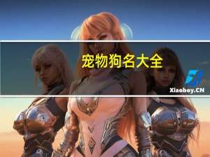 宠物狗名大全