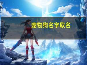 宠物狗名字取名