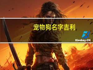 宠物狗名字吉利