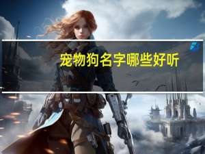 宠物狗名字哪些好听