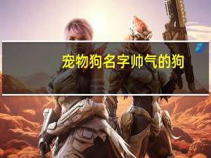 宠物狗名字帅气的狗