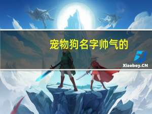 宠物狗名字帅气的