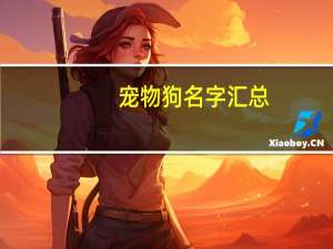 宠物狗名字汇总
