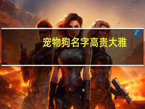宠物狗名字高贵大雅
