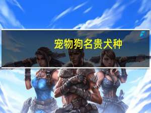 宠物狗名贵犬种