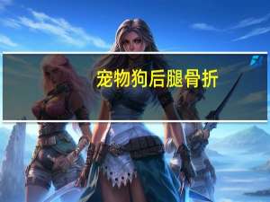 宠物狗后腿骨折