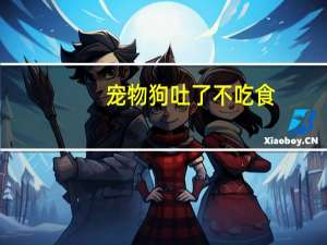 宠物狗吐了不吃食