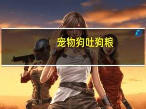 宠物狗吐狗粮