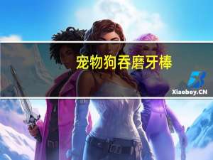 宠物狗吞磨牙棒