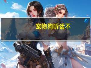 宠物狗听话不