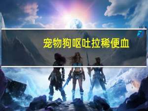 宠物狗呕吐拉稀便血