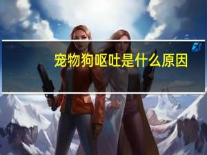 宠物狗呕吐是什么原因