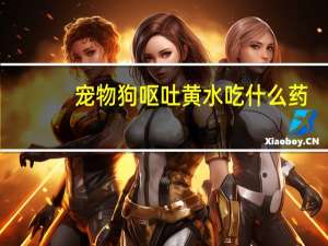宠物狗呕吐黄水吃什么药