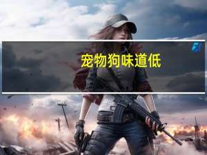 宠物狗味道低