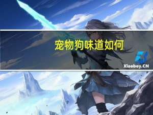 宠物狗味道如何