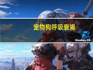 宠物狗呼吸衰竭