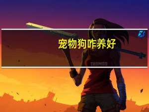 宠物狗咋养好