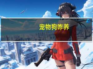 宠物狗咋养