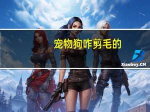 宠物狗咋剪毛的