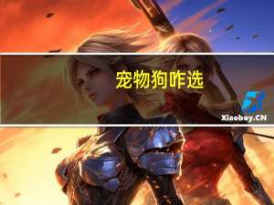 宠物狗咋选