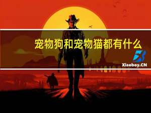 宠物狗和宠物猫都有什么