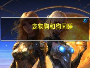 宠物狗和狗同睡