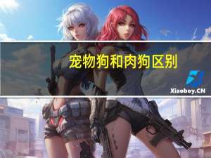 宠物狗和肉狗区别